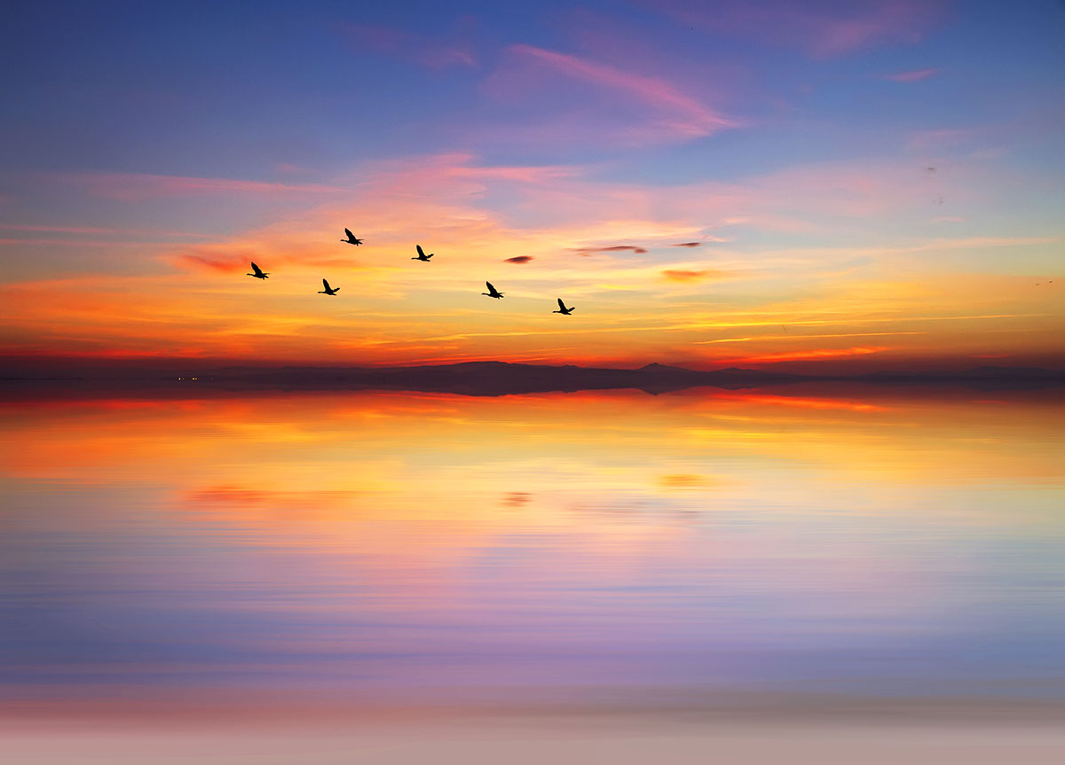 Brightening Mental Wellness, One Mind at a Time